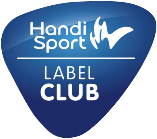 Handisport